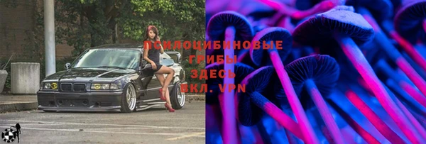 бошки Балахна