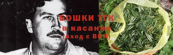 ПСИЛОЦИБИНОВЫЕ ГРИБЫ Баксан