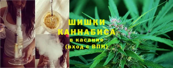 ПСИЛОЦИБИНОВЫЕ ГРИБЫ Баксан