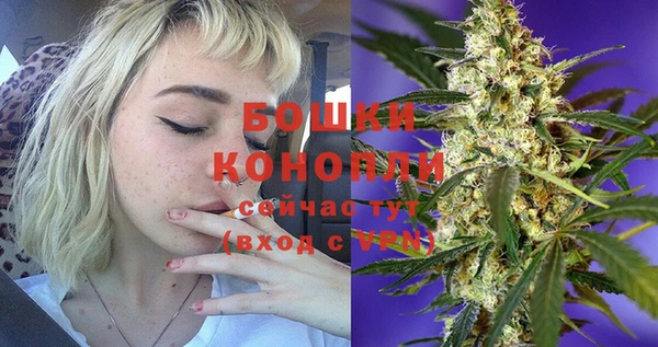 дживик Осинники