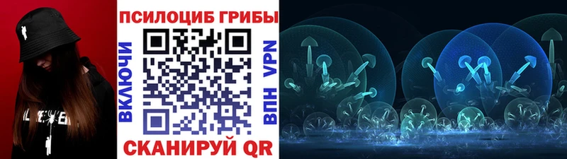купить   Ленинск  Псилоцибиновые грибы Psilocybe 